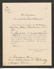 k.k. naturhistorisches Hofmuseum, Intendanzakten 1885-1896 (Hauer), Aktenzahl Z.89/1890, Seite 1